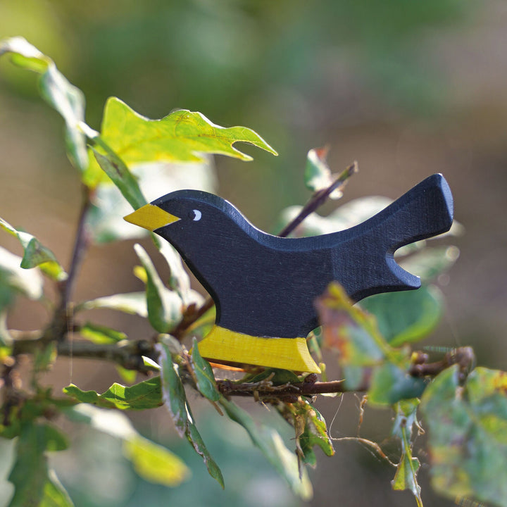 Holztiger blackbird