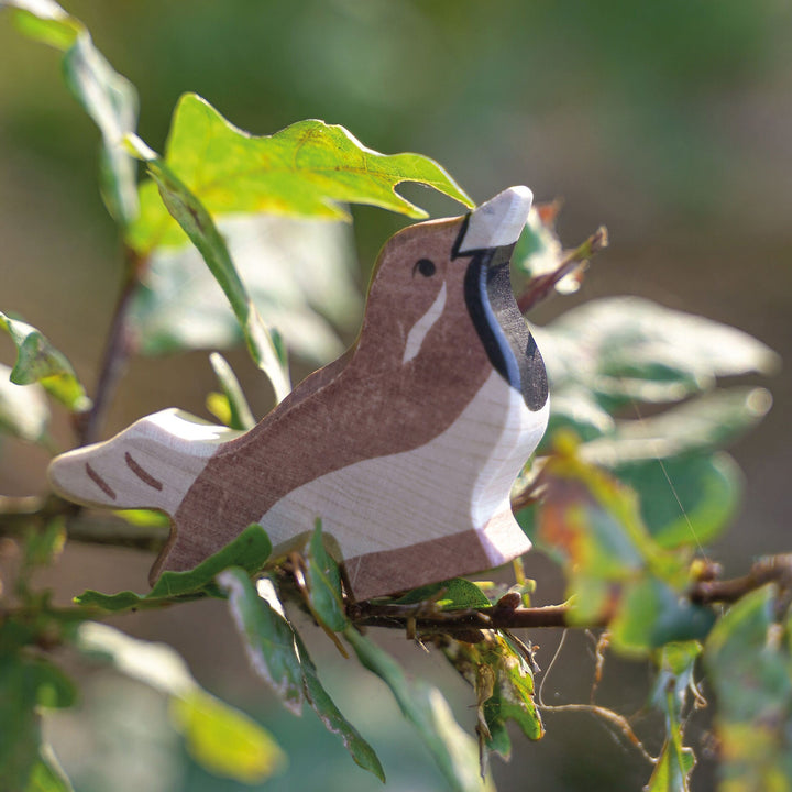 Holztiger sparrow