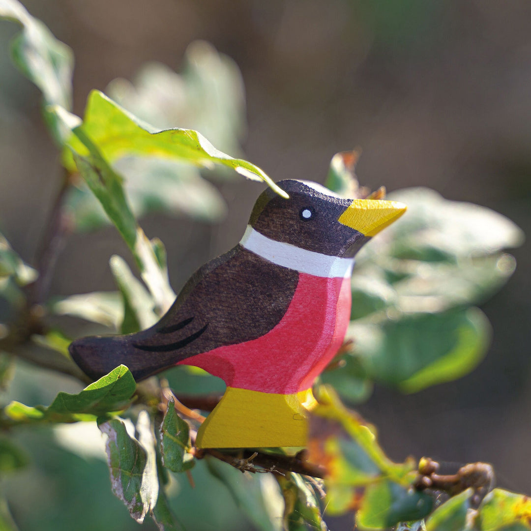 Holztiger robin