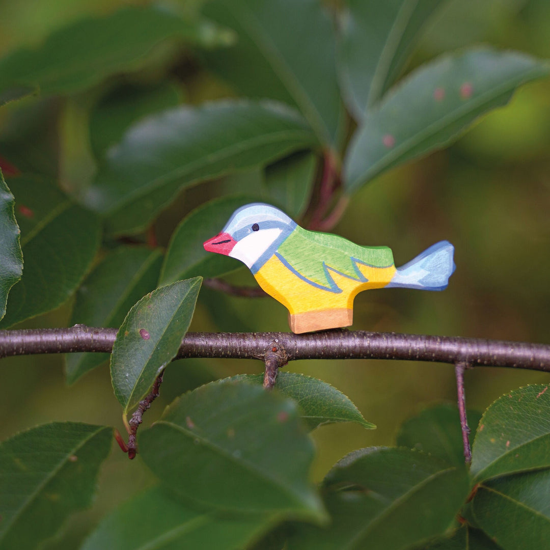 Holztiger blue tit II