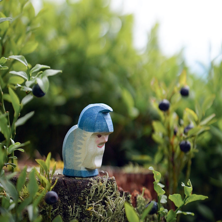 Ostheimer dwarf blue