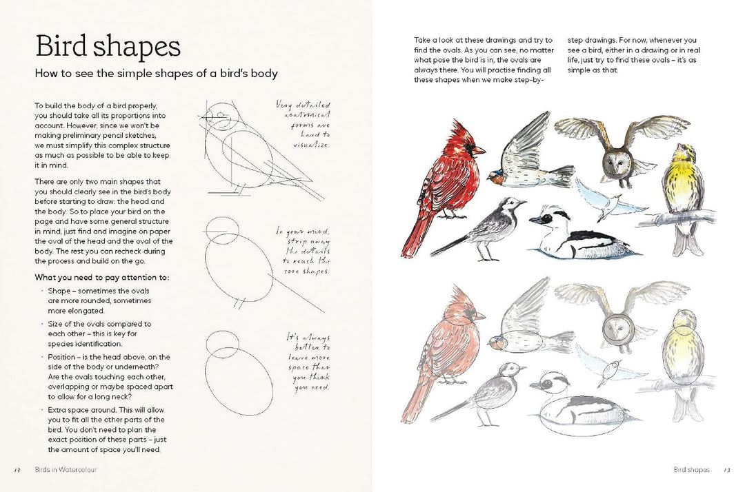 Birds in Watercolour