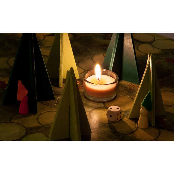 Shadows in the Woods