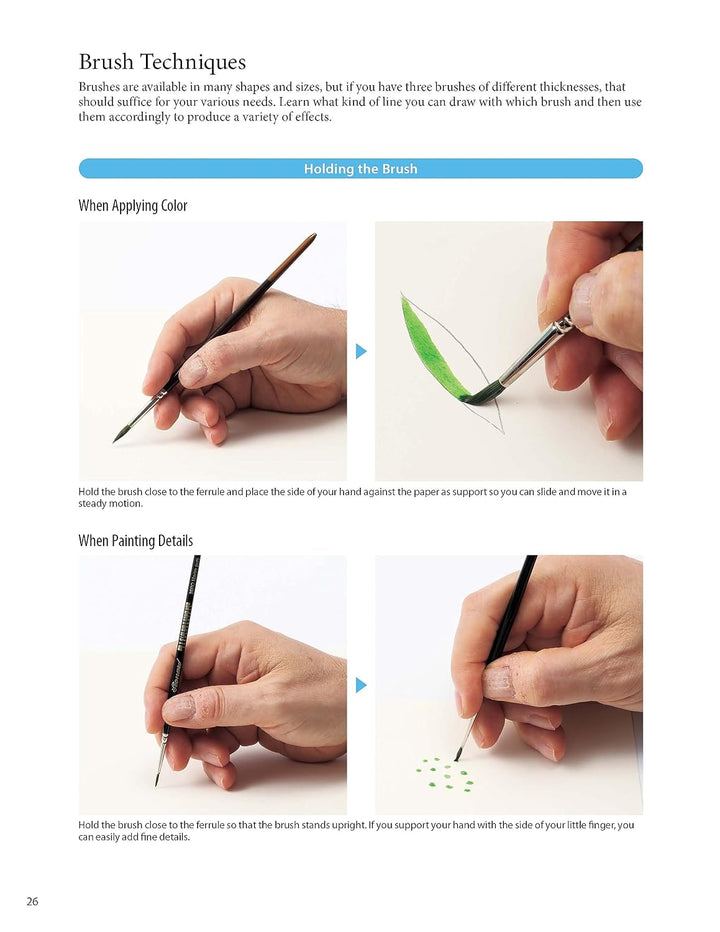 A Step-by-Step Guide to Botanical Drawing &amp; Painting