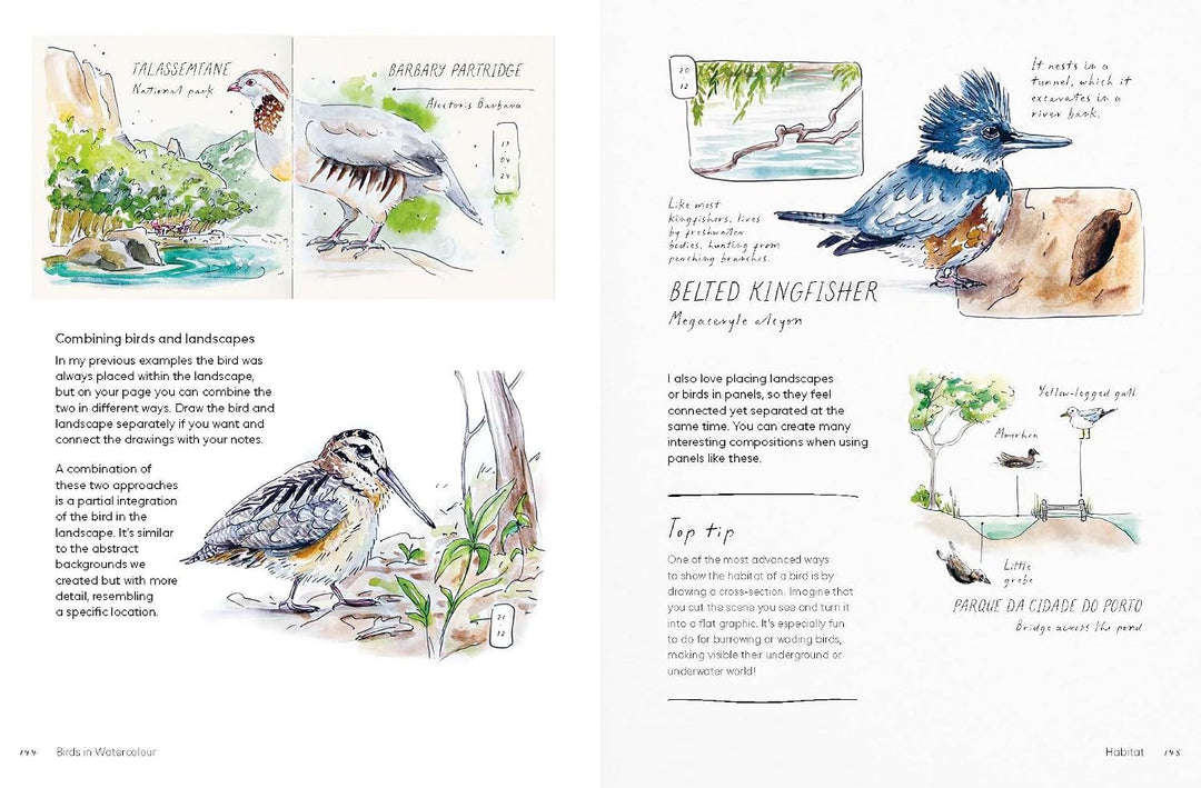 Birds in Watercolour