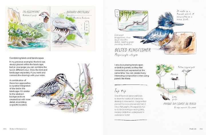 Birds in Watercolour