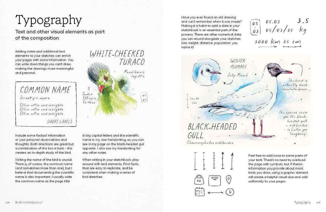 Birds in Watercolour