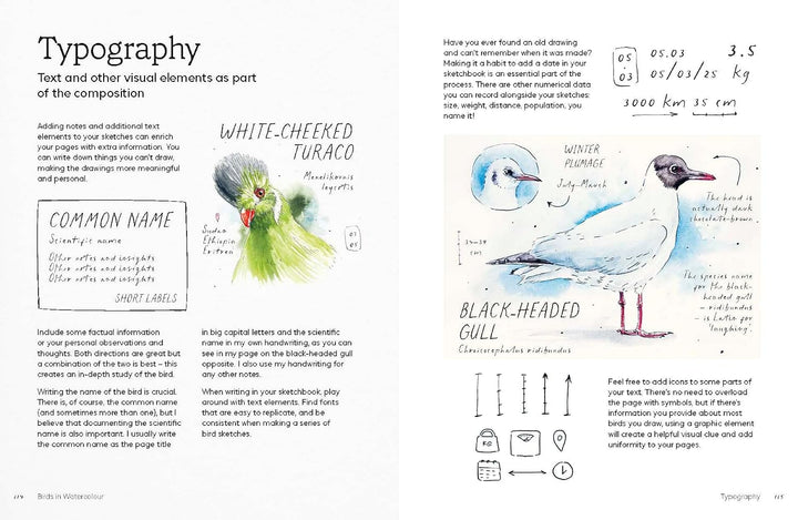 Birds in Watercolour