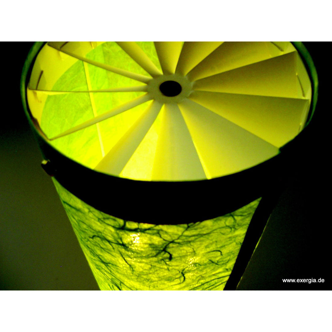 light rotor