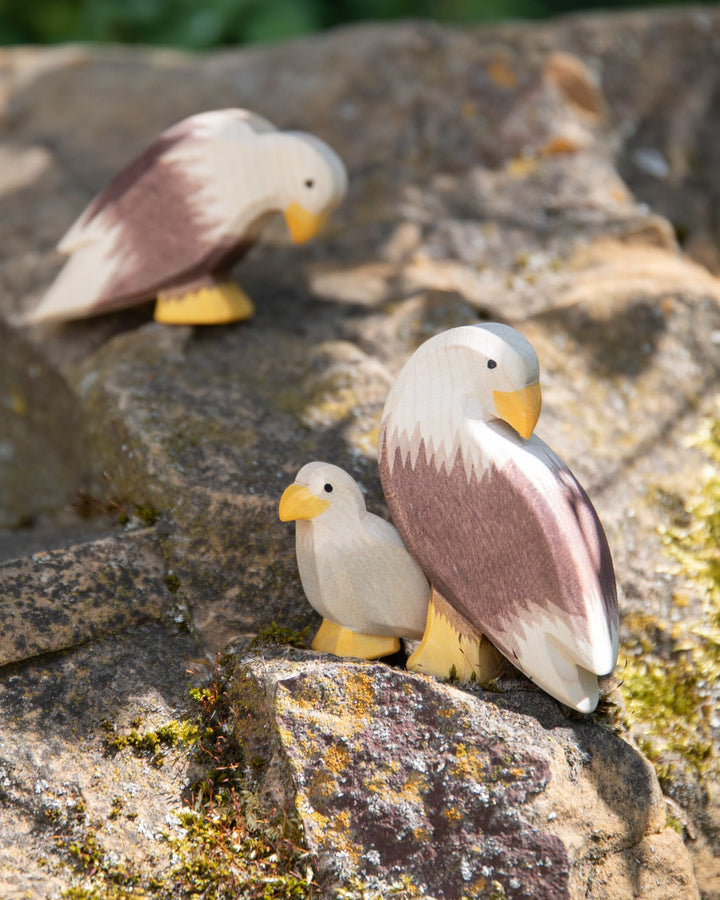 Ostheimer Bald Eagle, small
