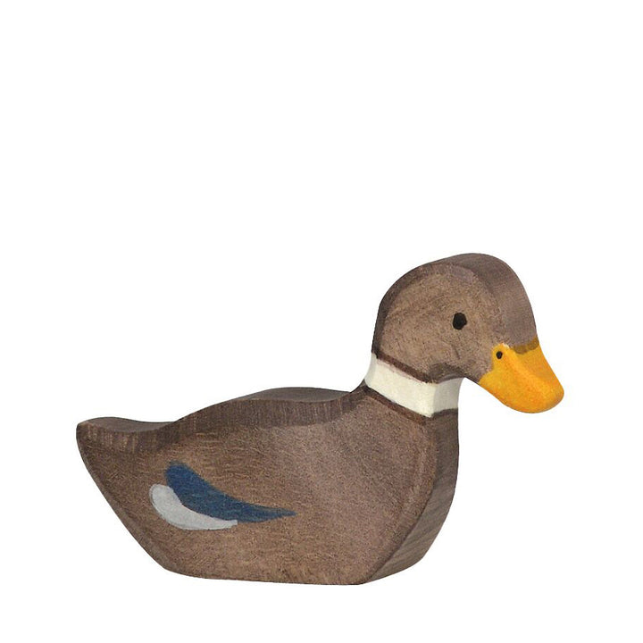 Holztiger duck swimming