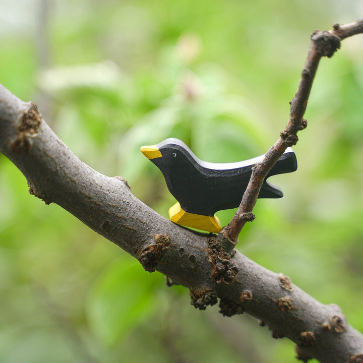Holztiger blackbird