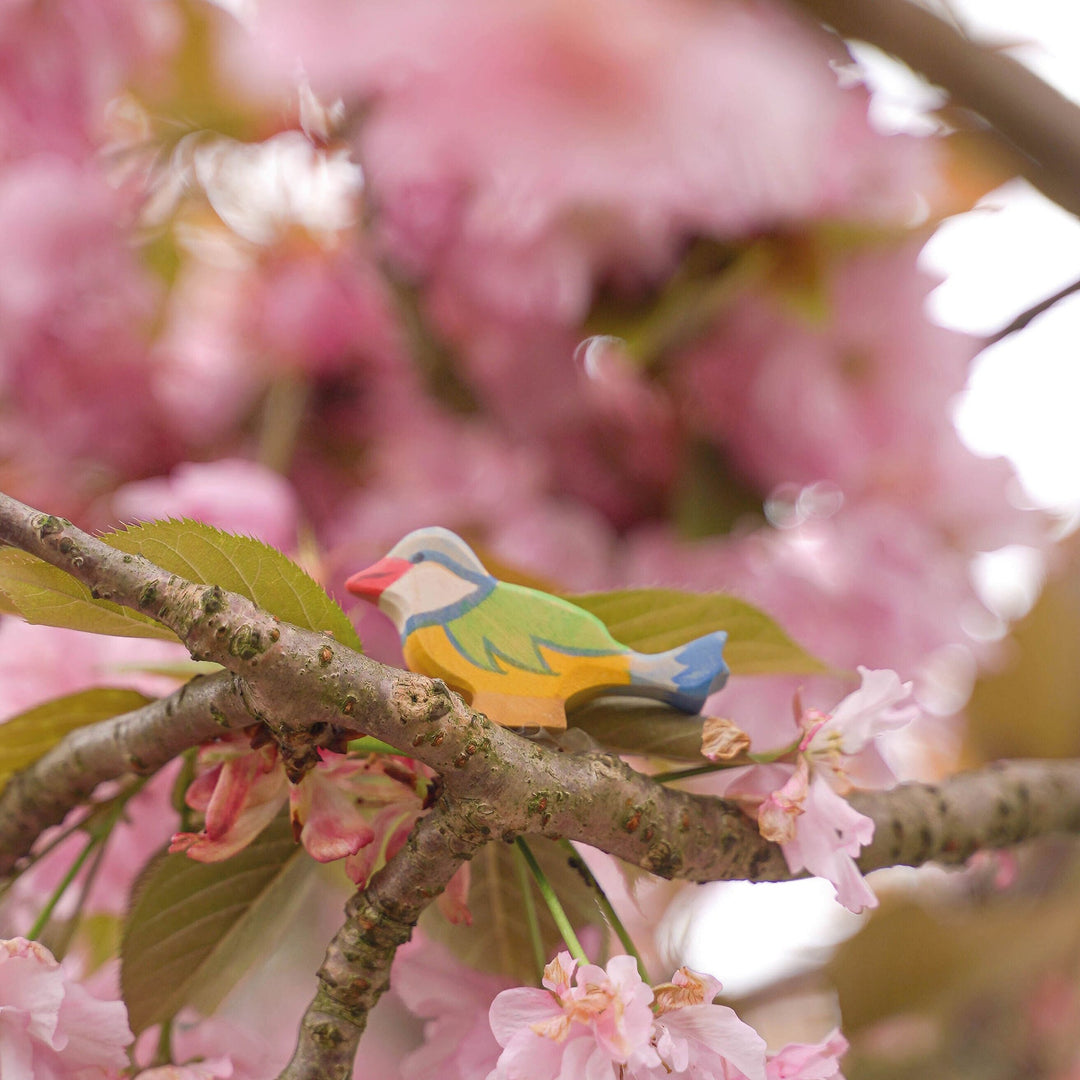 Holztiger blue tit II
