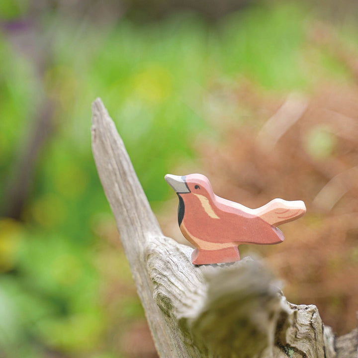 Holztiger sparrow