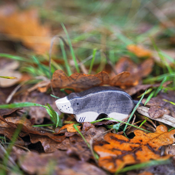 Holztiger mole