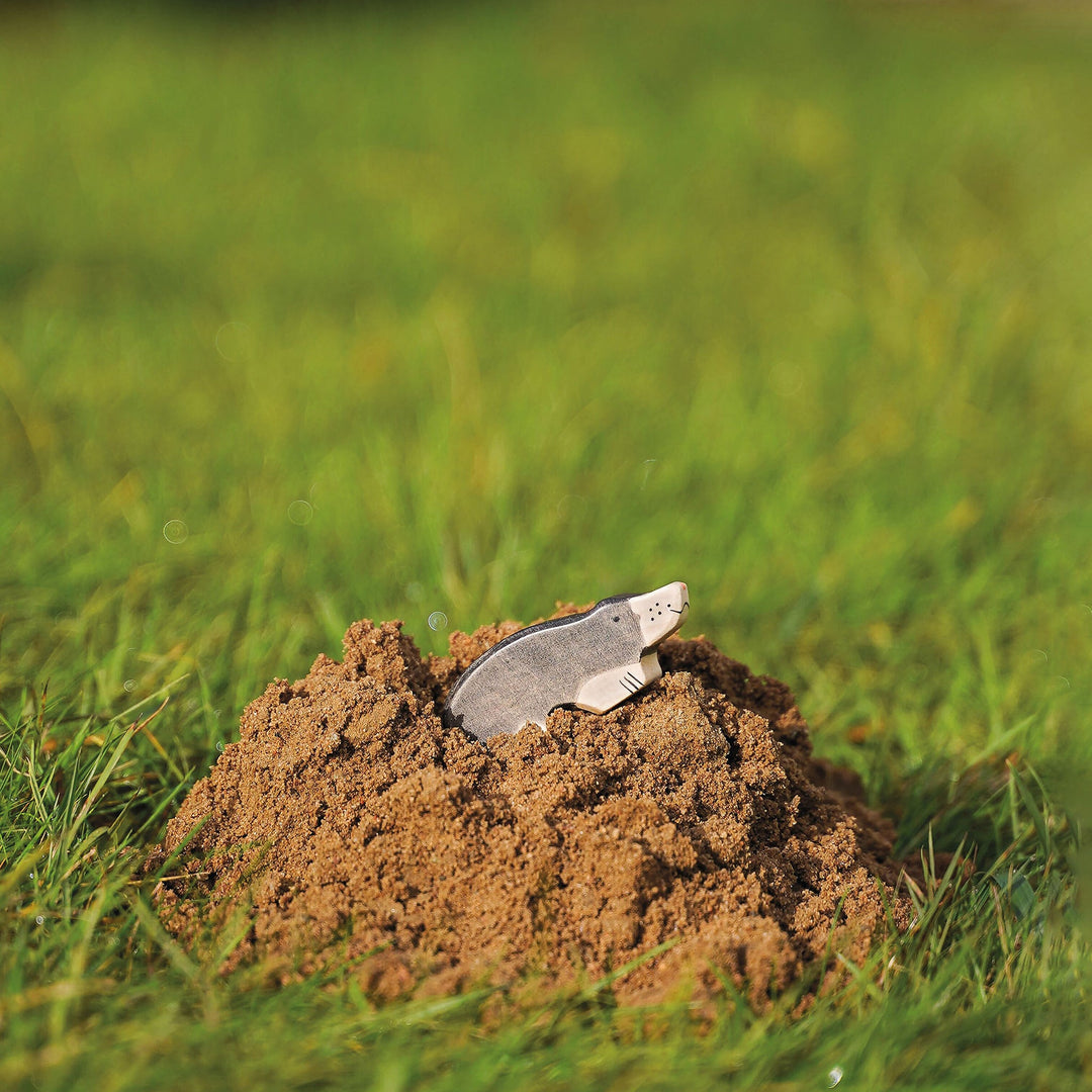 Holztiger mole
