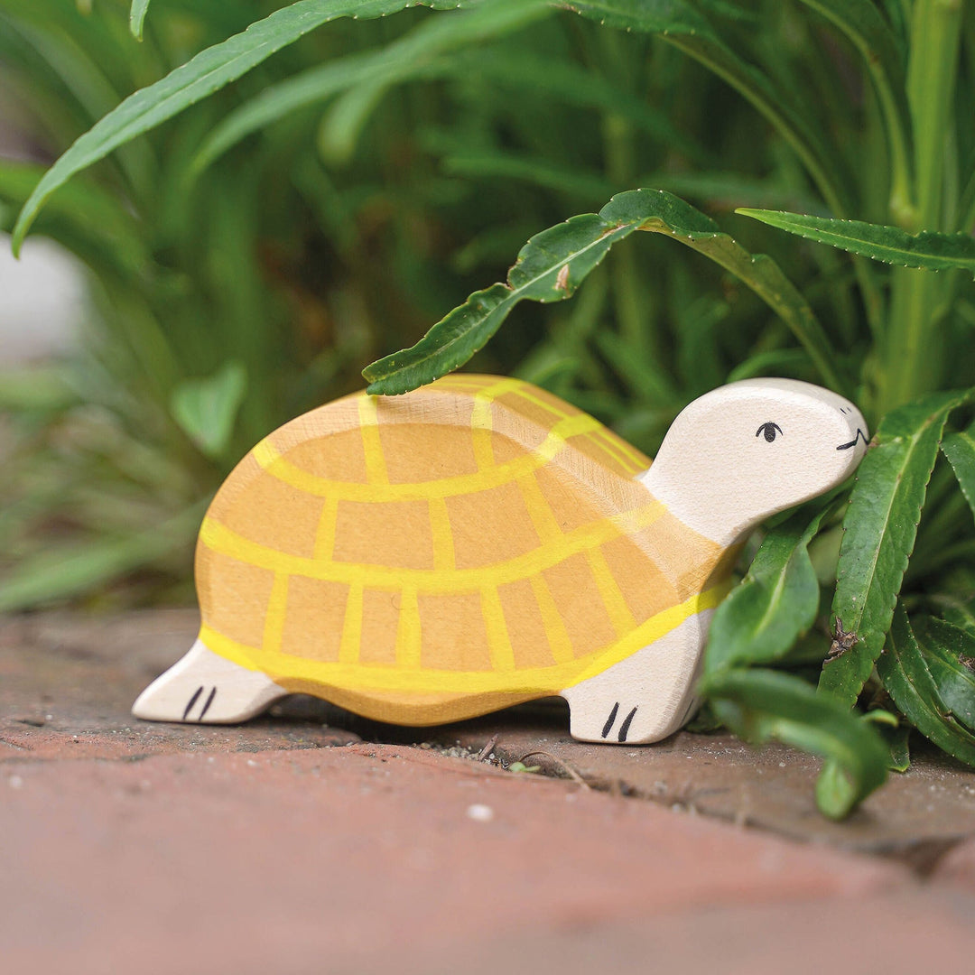 Holztiger tortoise