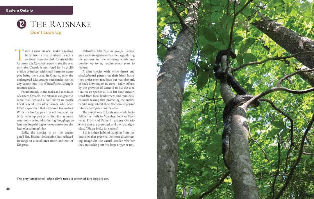 Top 170 Unusual Things to See in Ontario