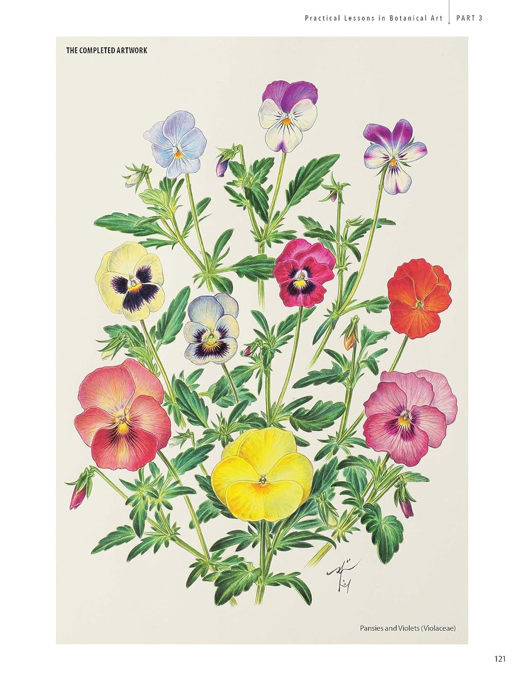 A Step-by-Step Guide to Botanical Drawing &amp; Painting