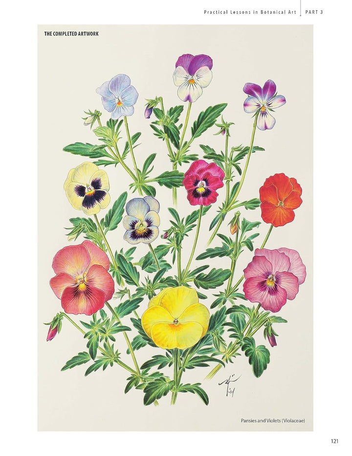 A Step-by-Step Guide to Botanical Drawing &amp; Painting