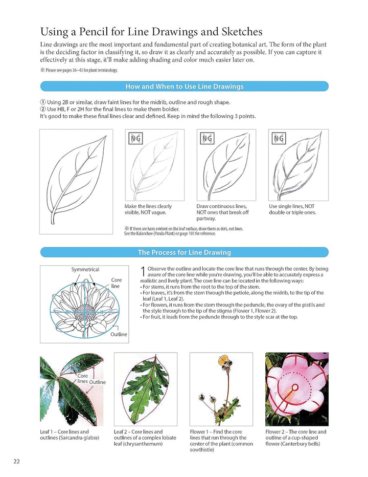A Step-by-Step Guide to Botanical Drawing &amp; Painting