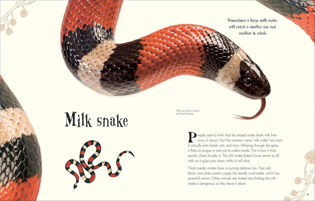 An Anthology of Intriguing Animals