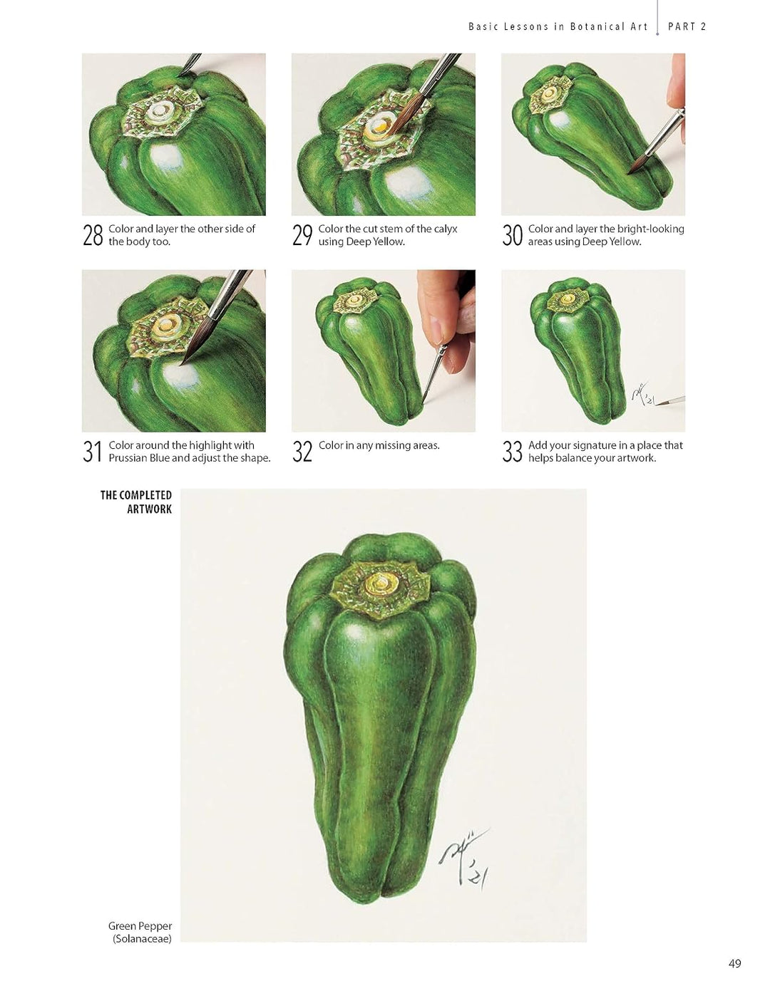 A Step-by-Step Guide to Botanical Drawing &amp; Painting