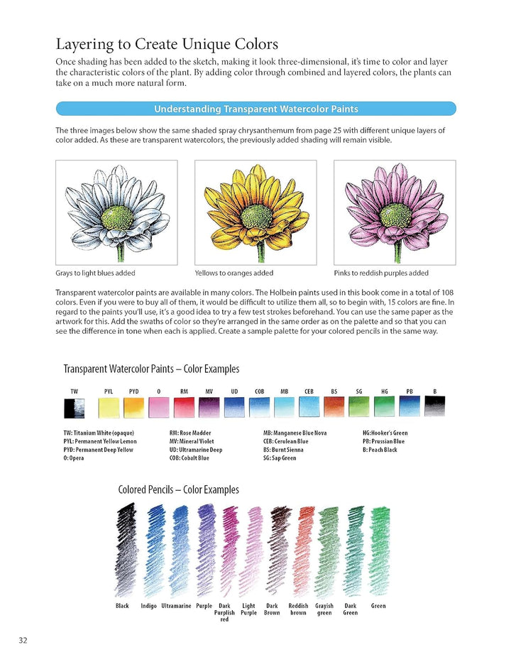 A Step-by-Step Guide to Botanical Drawing &amp; Painting