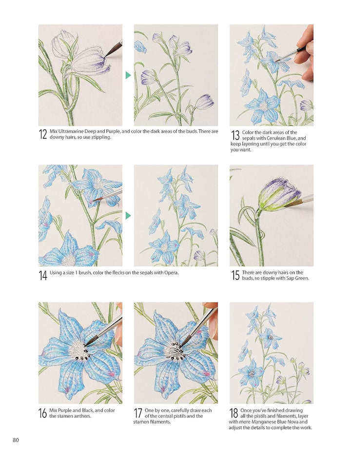A Step-by-Step Guide to Botanical Drawing &amp; Painting