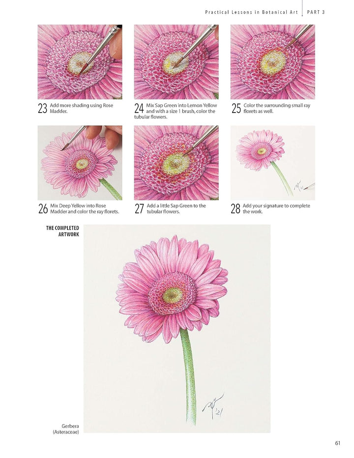 A Step-by-Step Guide to Botanical Drawing &amp; Painting