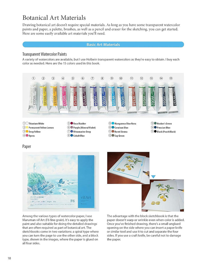 A Step-by-Step Guide to Botanical Drawing &amp; Painting
