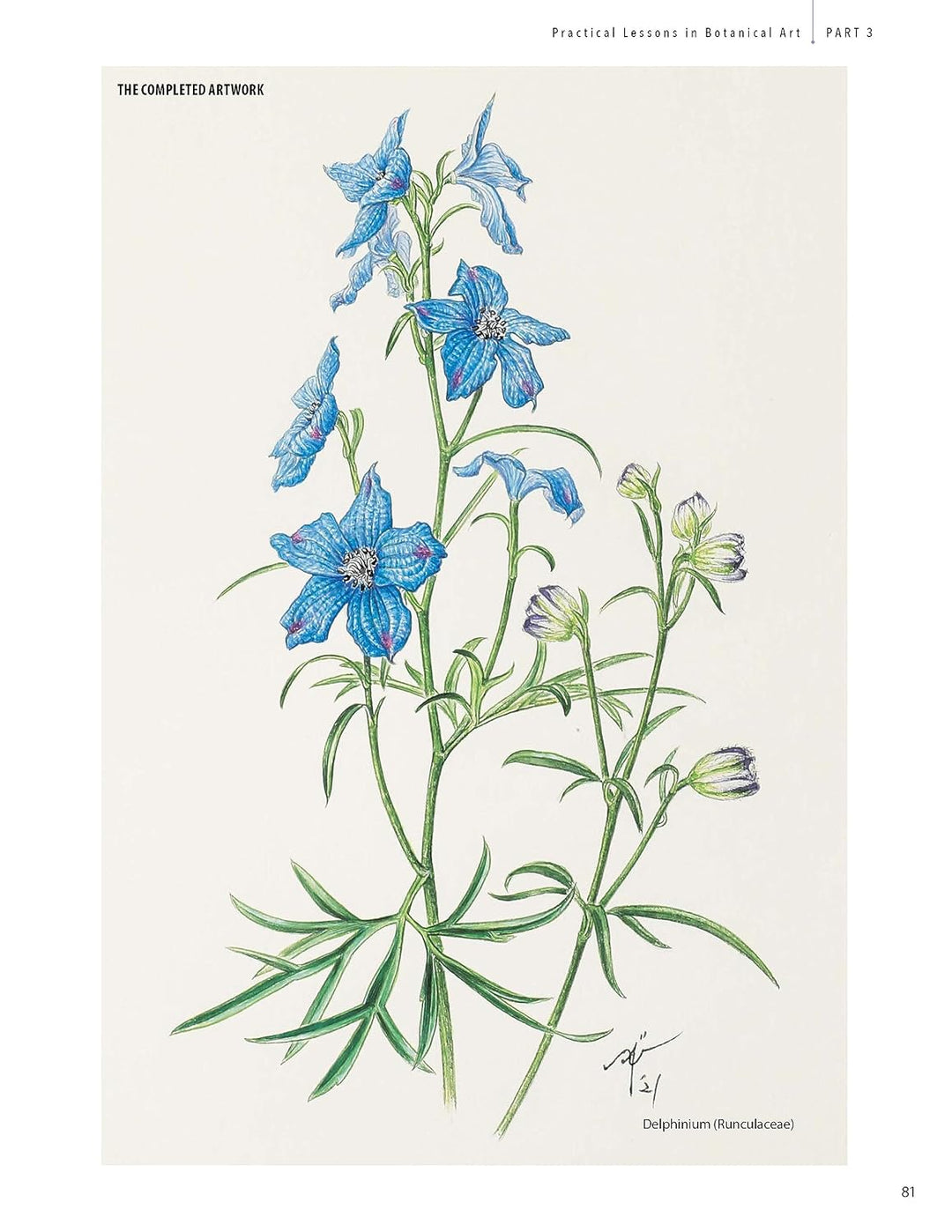 A Step-by-Step Guide to Botanical Drawing &amp; Painting