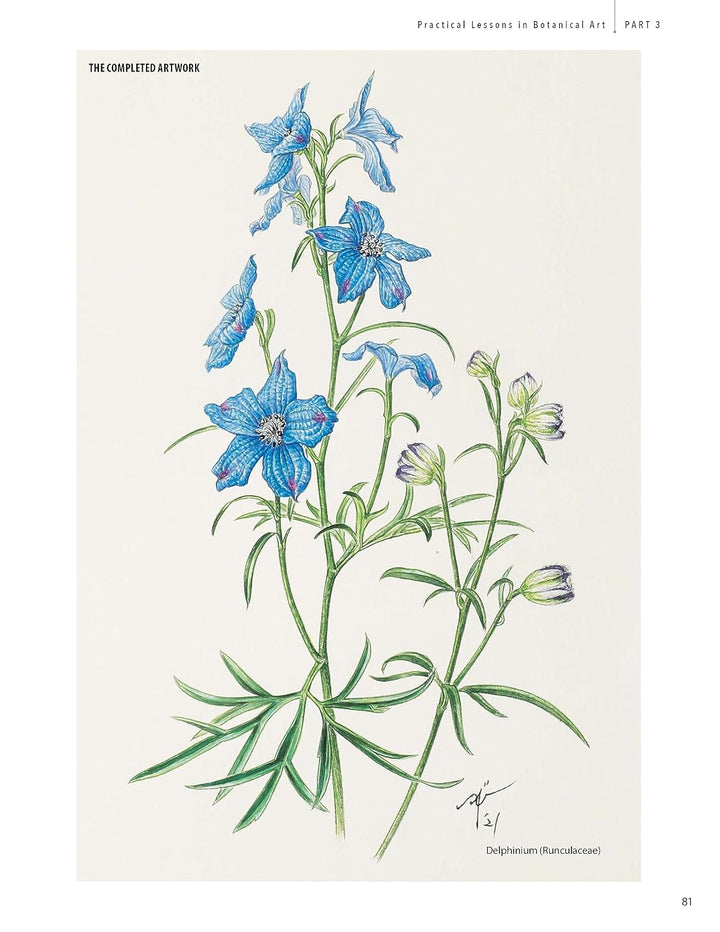 A Step-by-Step Guide to Botanical Drawing &amp; Painting