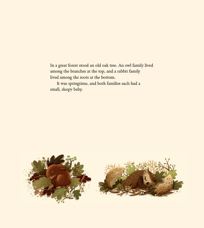 When Little Owl Met Little Rabbit
