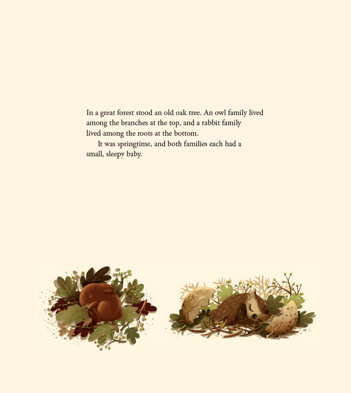 When Little Owl Met Little Rabbit