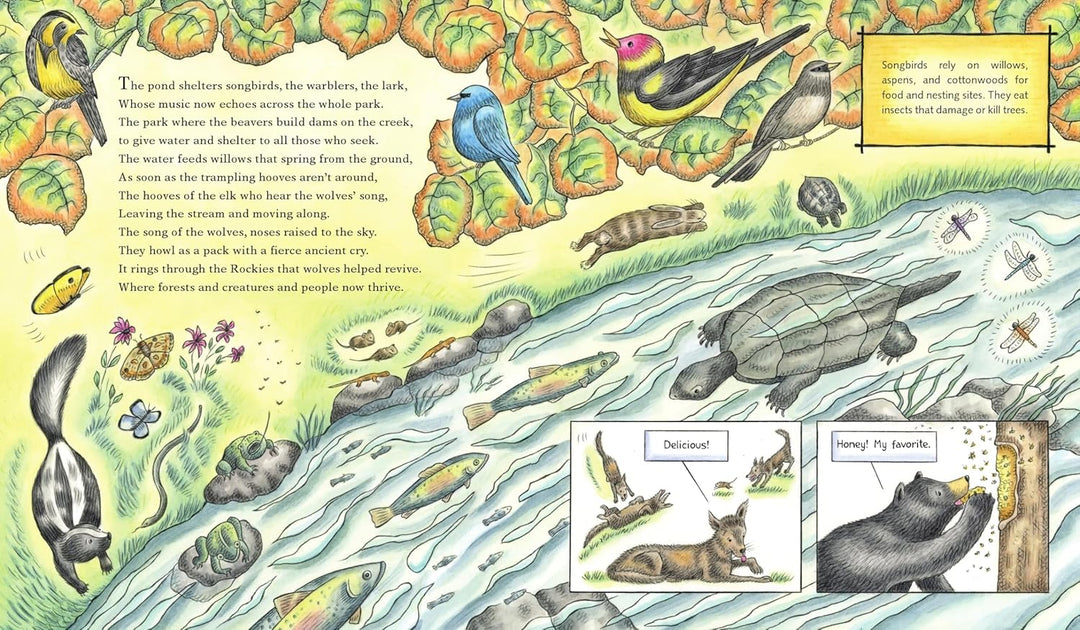 The Wolf Effect - A Wilderness Revival Story