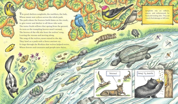 The Wolf Effect - A Wilderness Revival Story