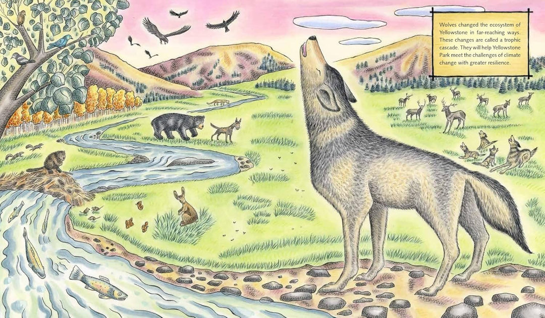 The Wolf Effect - A Wilderness Revival Story