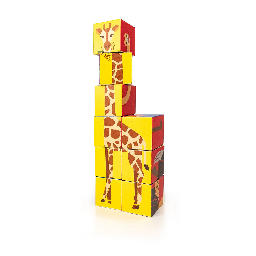 Bajo Zoo Cubes