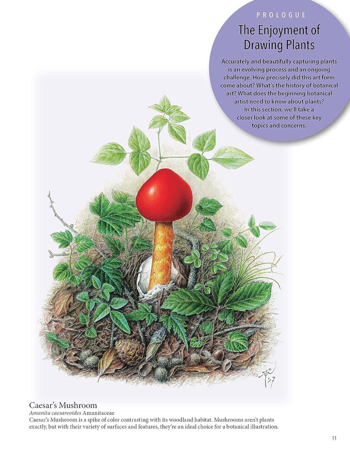 A Step-by-Step Guide to Botanical Drawing &amp; Painting