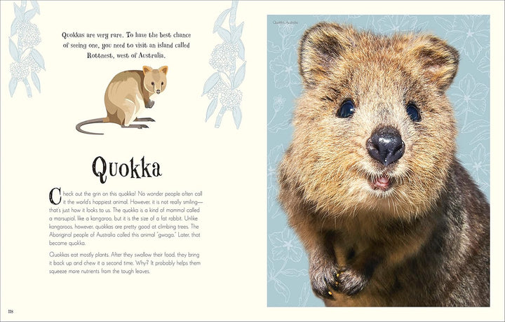 An Anthology of Intriguing Animals
