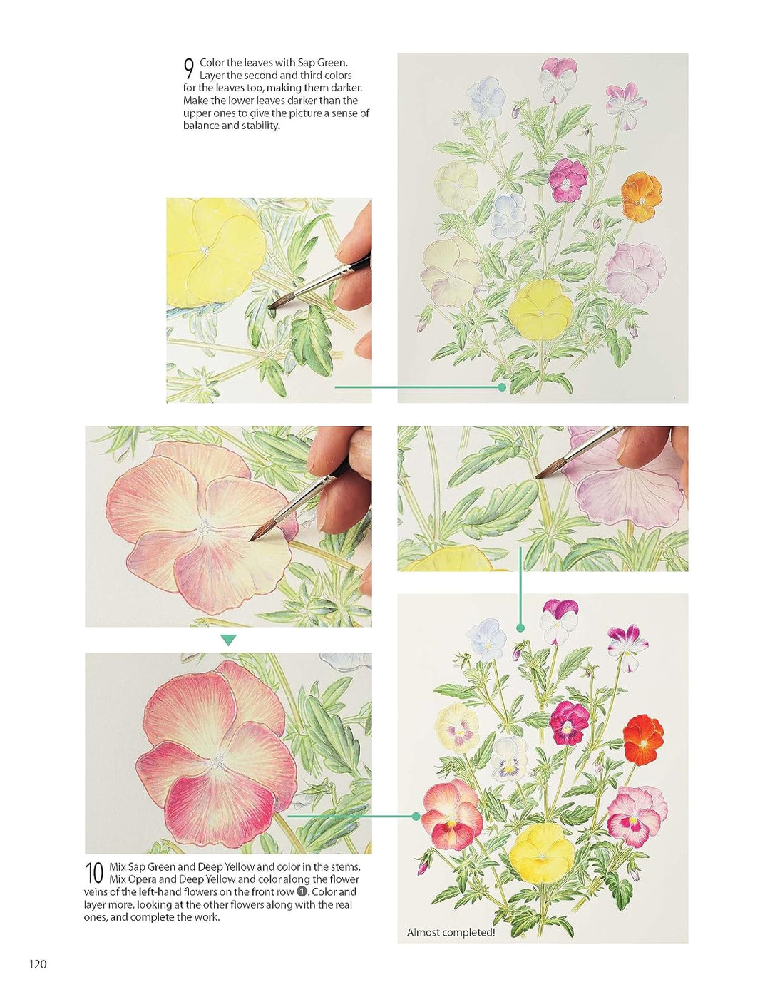 A Step-by-Step Guide to Botanical Drawing &amp; Painting