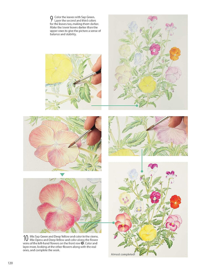 A Step-by-Step Guide to Botanical Drawing &amp; Painting