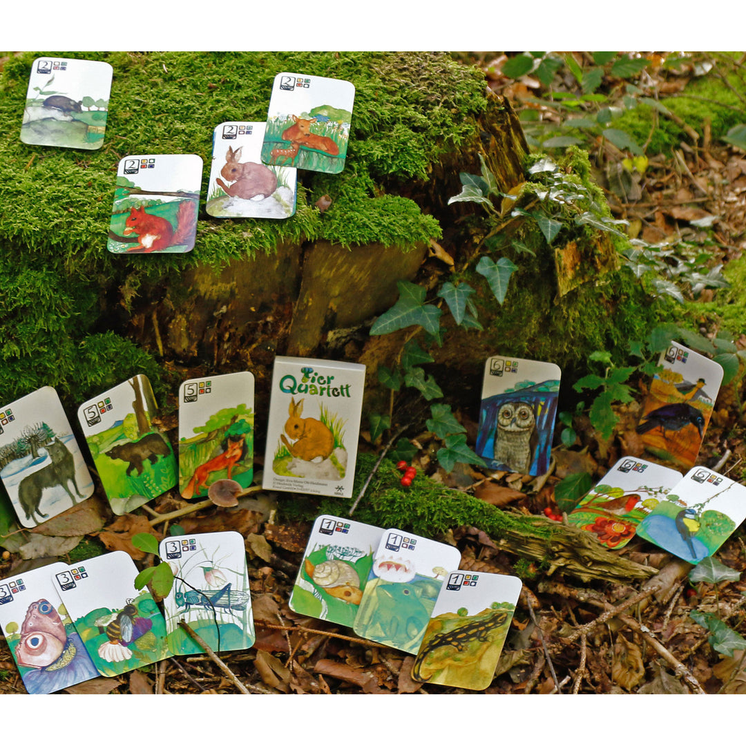 animal quartet card game