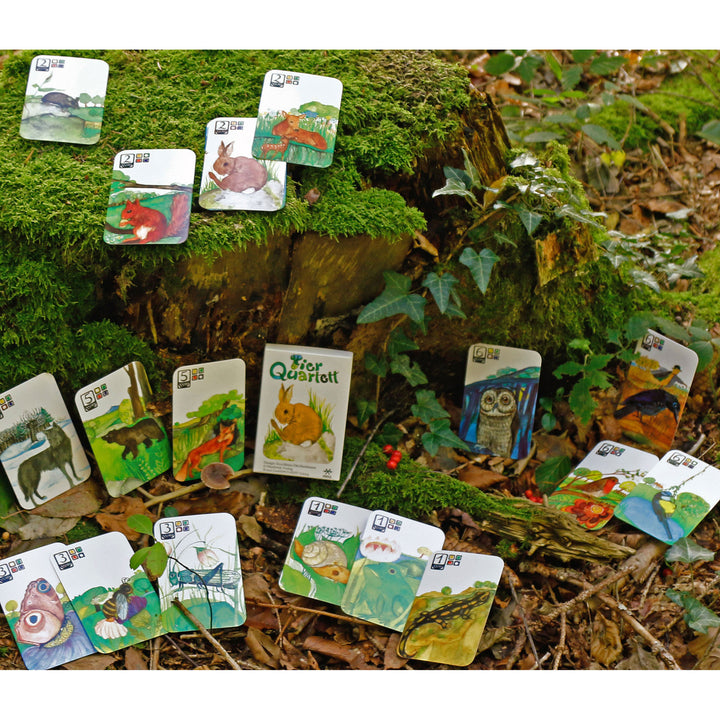 animal quartet card game