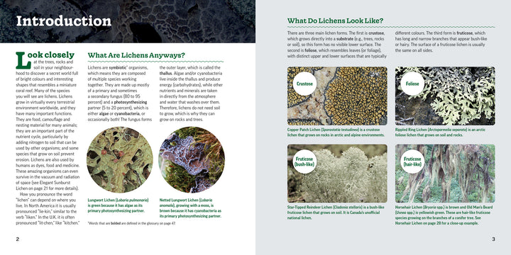 The Secret World of Lichens