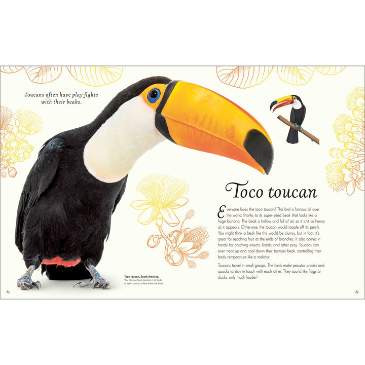 An Anthology of Exquisite Birds