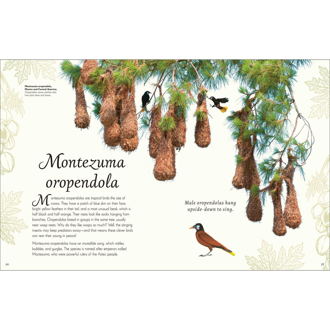 An Anthology of Exquisite Birds