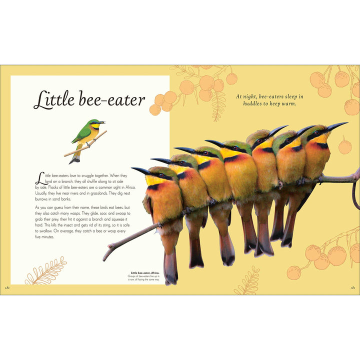 An Anthology of Exquisite Birds