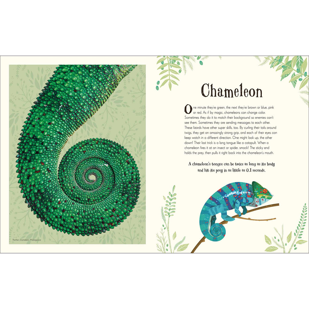 An Anthology of Intriguing Animals